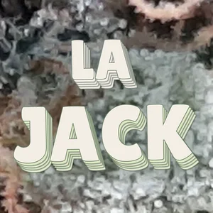 LA Jack Cannabis Strain