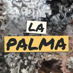 La Palma Cannabis Strain