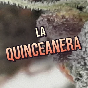 La Quinceanera Cannabis Strain