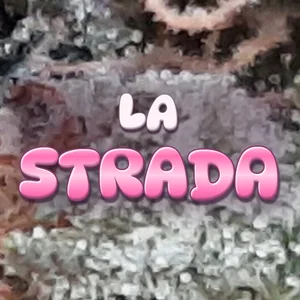 La Strada Cannabis Strain