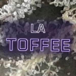 LA Toffee Cannabis Strain
