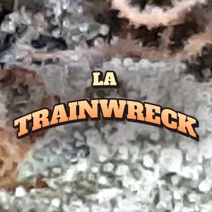 LA Trainwreck Cannabis Strain