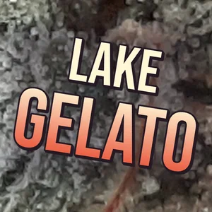 Lake Gelato Cannabis Strain