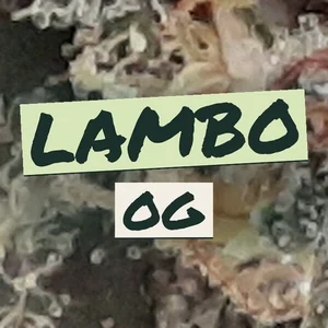 Lambo OG Cannabis Strain