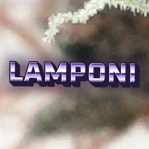 Lamponi Cannabis Strain
