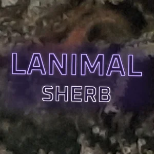 Lanimal Sherb Cannabis Strain