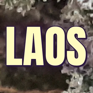 Laos Cannabis Strain