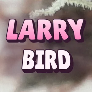 Larry Bird Cannabis Strain