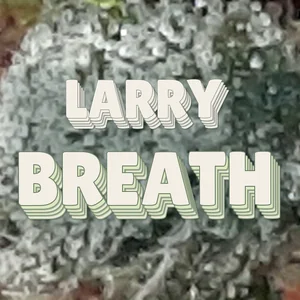 Larry Breath Cannabis Strain