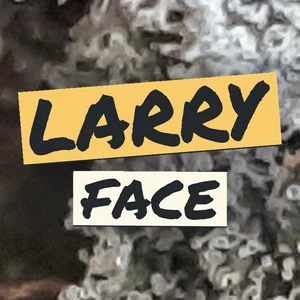 Larry Face Cannabis Strain