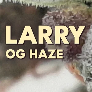 Larry OG Haze Cannabis Strain