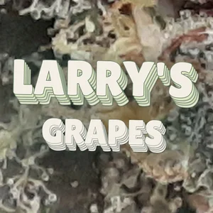 Larry's Grapes Cannabis Strain
