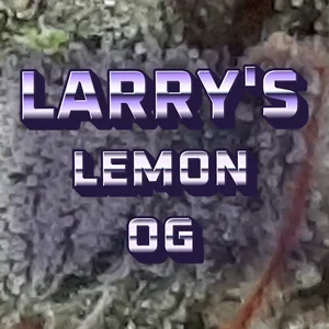 Larry's Lemon OG Cannabis Strain