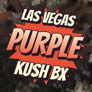 Las Vegas Purple Kush BX Cannabis Strain