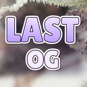 Last OG Cannabis Strain