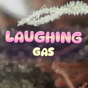 Laughing Gas Cannabis Strain