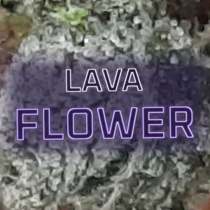 Lava Flower Cannabis Strain