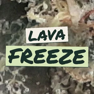 Lava Freeze Cannabis Strain