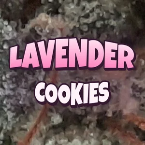 Lavender Cookies Cannabis Strain
