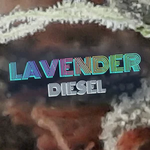 Lavender Diesel Cannabis Strain