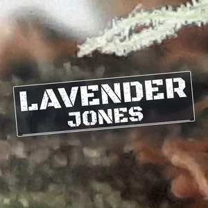 Lavender Jones Cannabis Strain