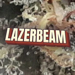 Lazerbeam Cannabis Strain