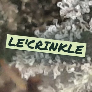 Le'Crinkle Cannabis Strain