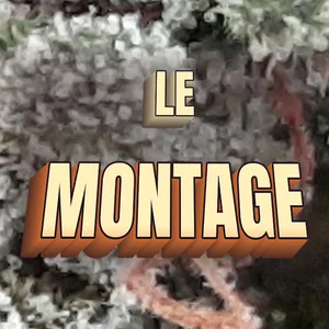 Le Montage Cannabis Strain
