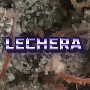 Lechera Cannabis Strain