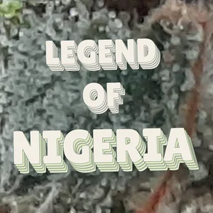 Legend of Nigeria Cannabis Strain