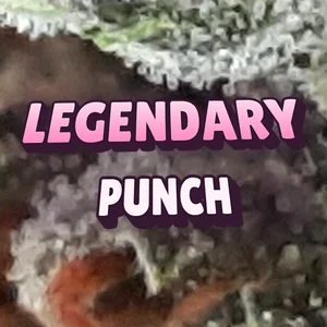 Legendary Punch Cannabis Strain