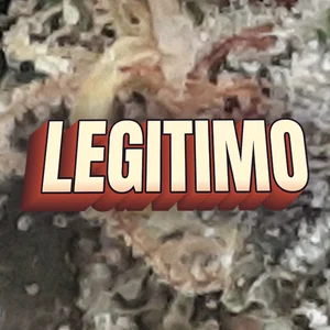 Legitimo Cannabis Strain