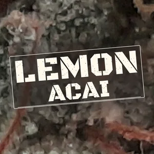 Lemon Acai Cannabis Strain
