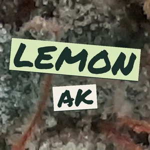 Lemon AK Cannabis Strain