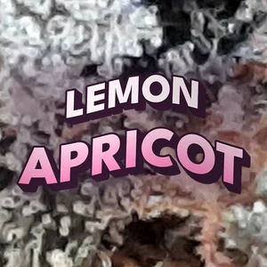 Lemon Apricot Cannabis Strain