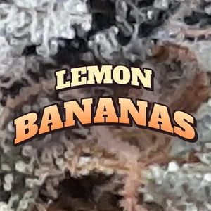 Lemon Bananas Cannabis Strain
