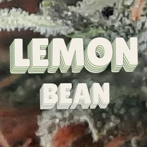 Lemon Bean Cannabis Strain
