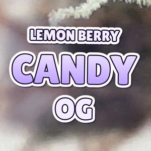 Lemon Berry Candy OG Cannabis Strain