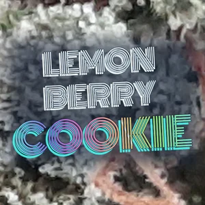 Lemon Berry Cookie Cannabis Strain