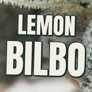 Lemon Bilbo Cannabis Strain