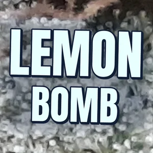 Lemon Bomb Cannabis Strain