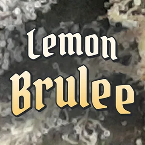 Lemon Brulee Cannabis Strain