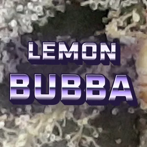 Lemon Bubba Cannabis Strain