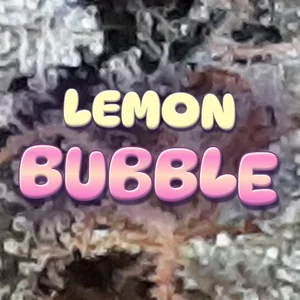 Lemon Bubble Cannabis Strain