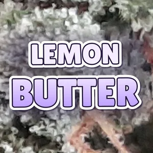 Lemon Butter Cannabis Strain