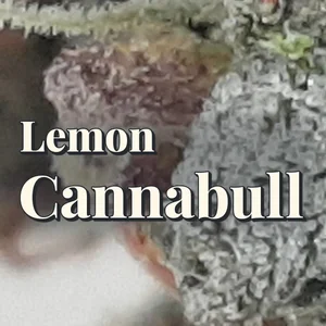 Lemon Cannabull Cannabis Strain