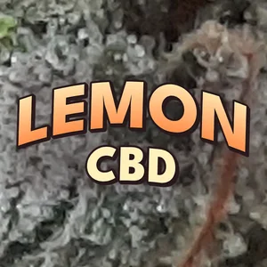 Lemon CBD Cannabis Strain