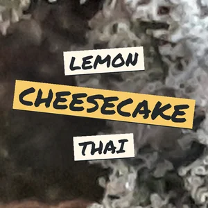 Lemon Cheesecake Thai Cannabis Strain