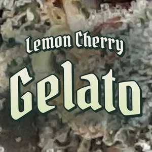 Lemon Cherry Gelato Cannabis Strain
