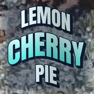 Lemon Cherry Pie Cannabis Strain